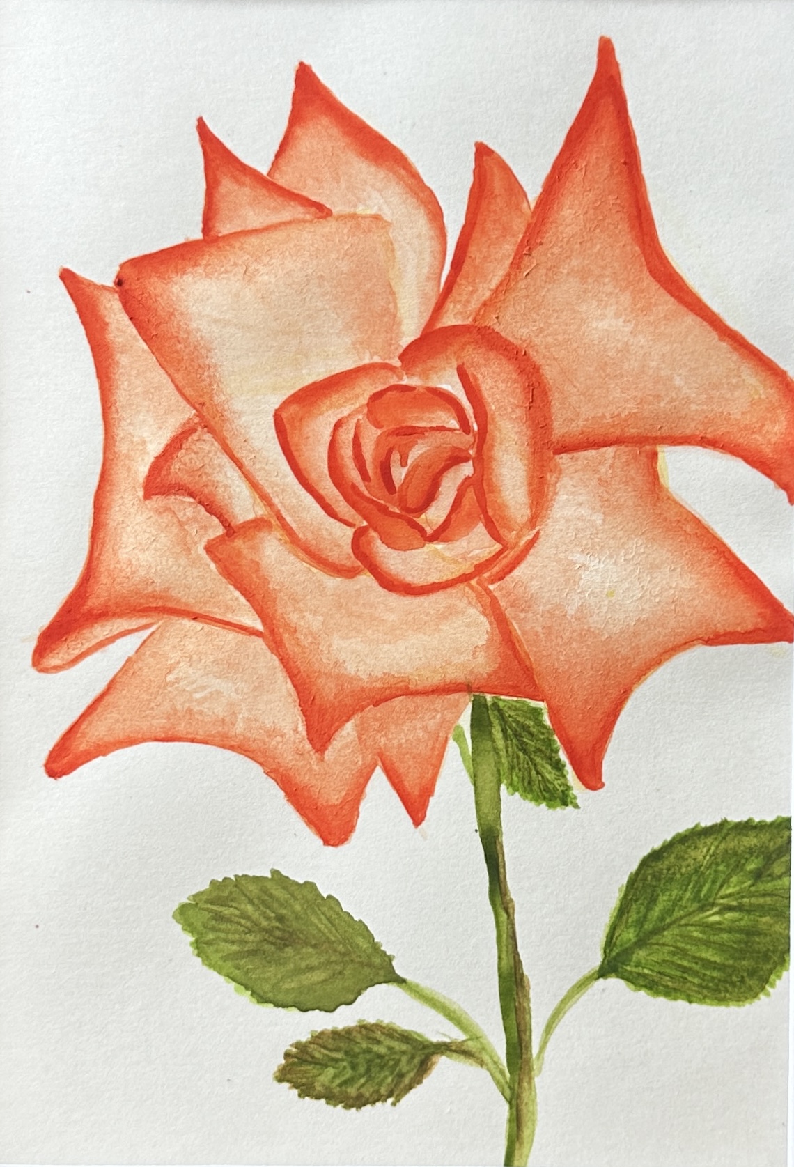 Original coral orange rose watercolor painting with blush petals and a green stem, by Céline
