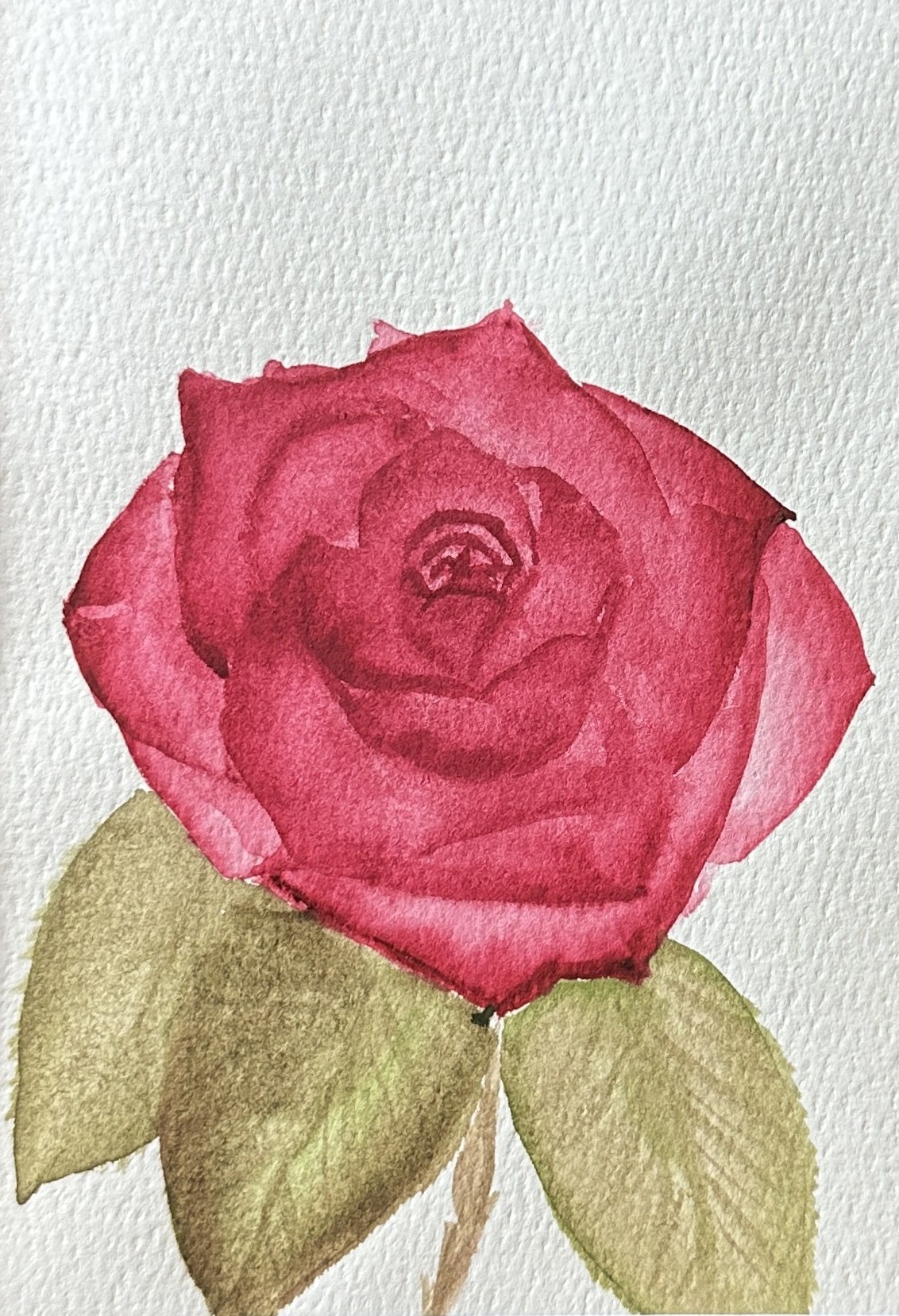 Original deep red rose watercolor painting in layered crimson with soft olive leaves, by Céline