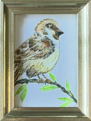 Framed ACEO watercolor painting of a little brown sparrow on a branch with green leaves, by Céline
