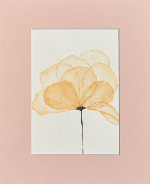 Original minimalist apricot watercolor flower painting with translucent peach petals on a charcoal stem, matted in blush, 5 x 7 in, by Céline