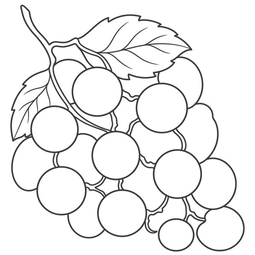 Grape bunch line-art outline printable template.